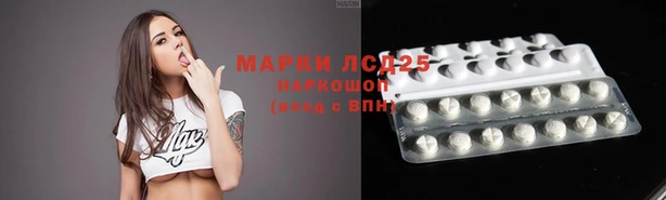 ECSTASY Кодинск