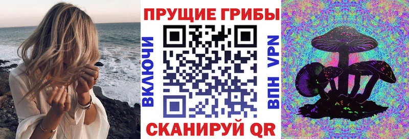 Галлюциногенные грибы MAGIC MUSHROOMS  Купить  Мегион 